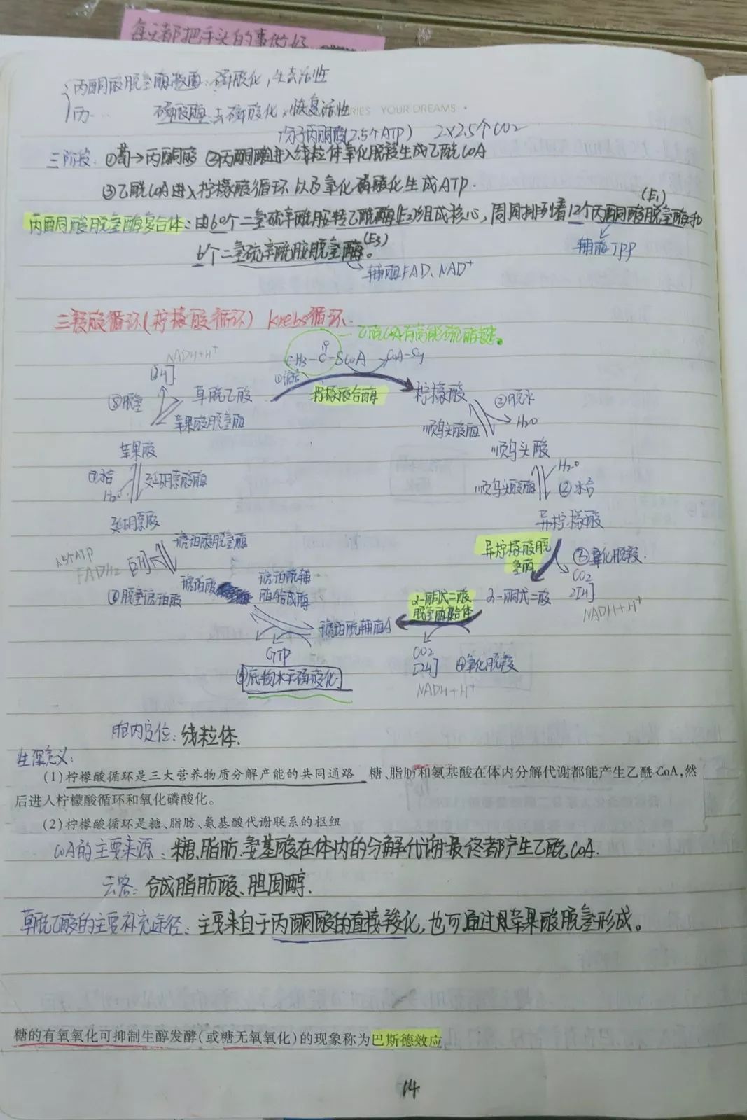 讀書月叮課堂筆記投票請往這裡走