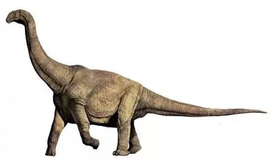 恐龙大明星已知最胖的恐龙黄河巨龙