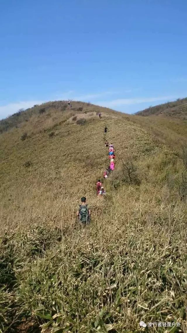 步行者戶外～4.27鸕鳥山徒步 挖筍 賞花之旅