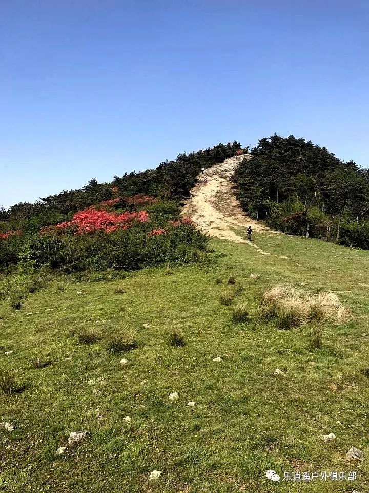 樂逍遙戶外4月21日週日徒步穿越大雷山環線賞雷峰杜鵑覓龍潭吐霧登浙