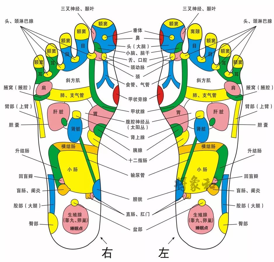 擀面杖擀脚底