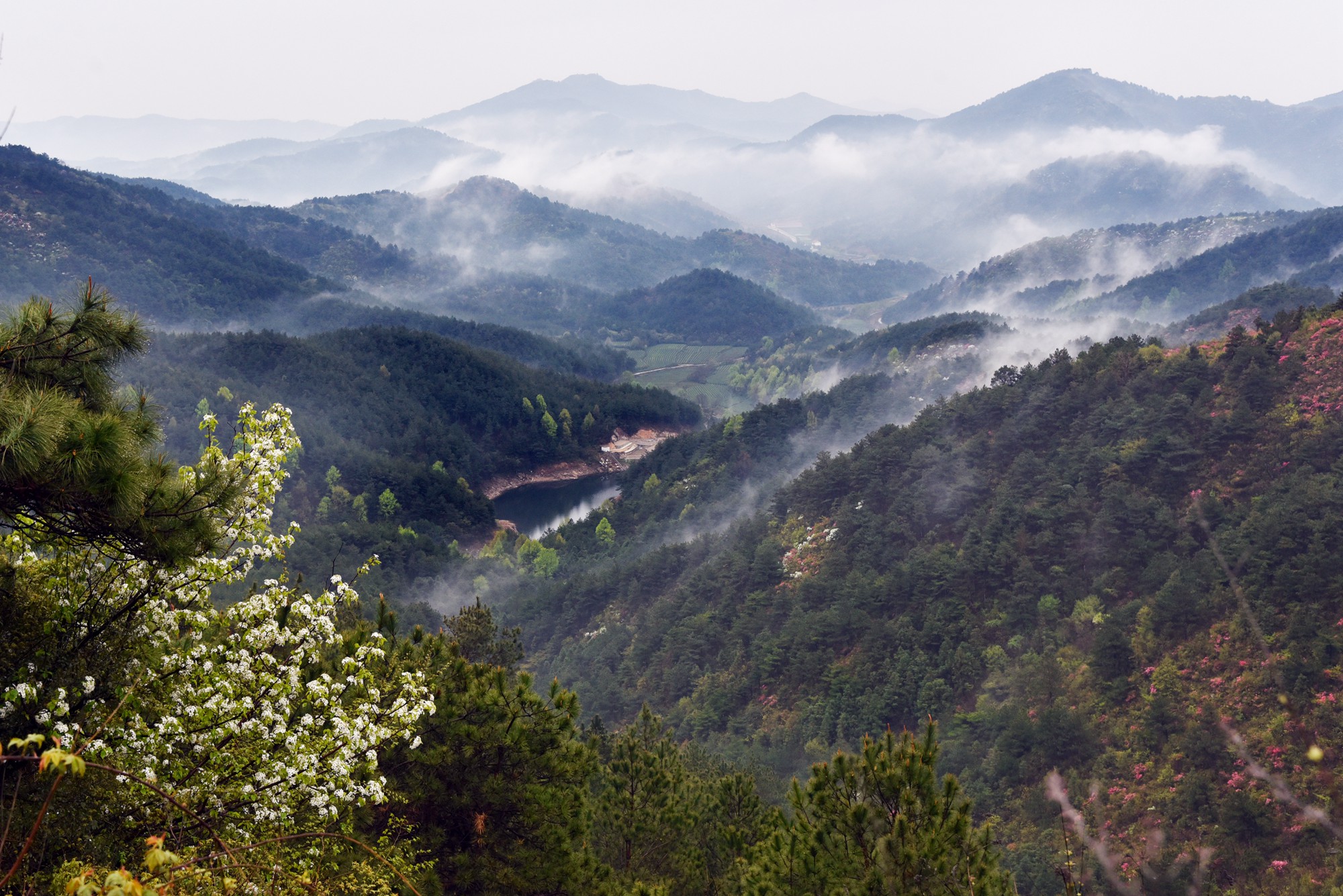 武漢黃陂雲霧山,人間仙境名不虛傳,四季皆風景