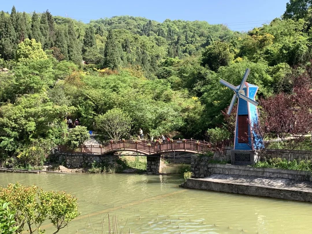 三峡鸣翠谷风景区图片