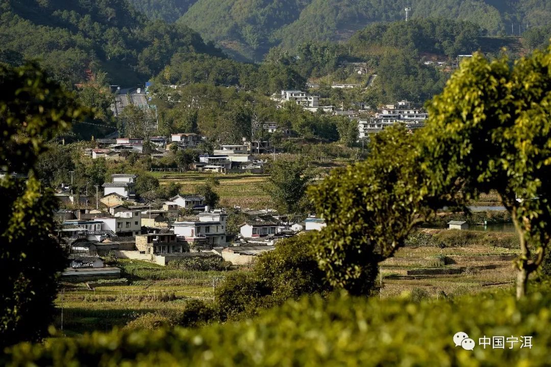 宁洱温泉村图片