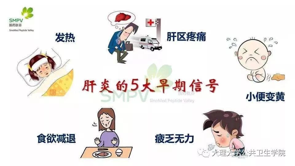 大理大学2019年预防疾病健康伴我行系列之肠道传染病甲肝