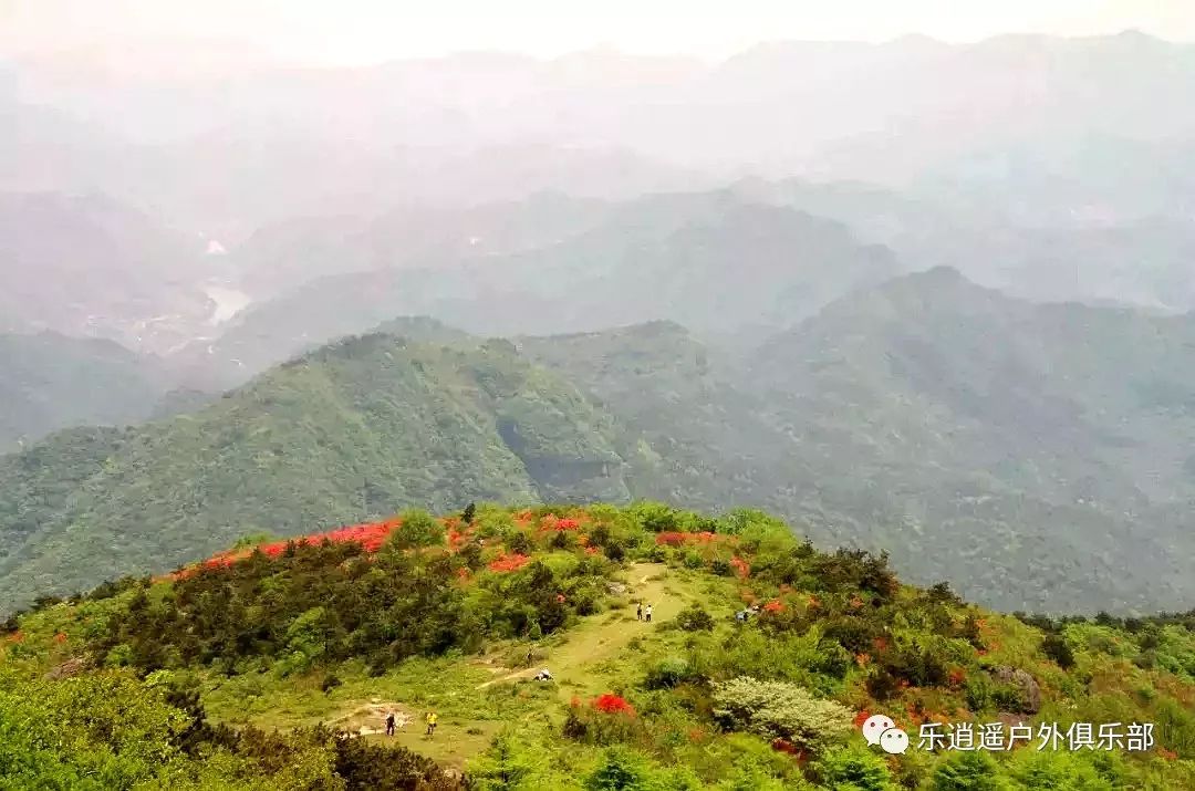 乐逍遥户外4月21日周日徒步穿越大雷山环线赏雷峰杜鹃觅龙潭吐雾登浙