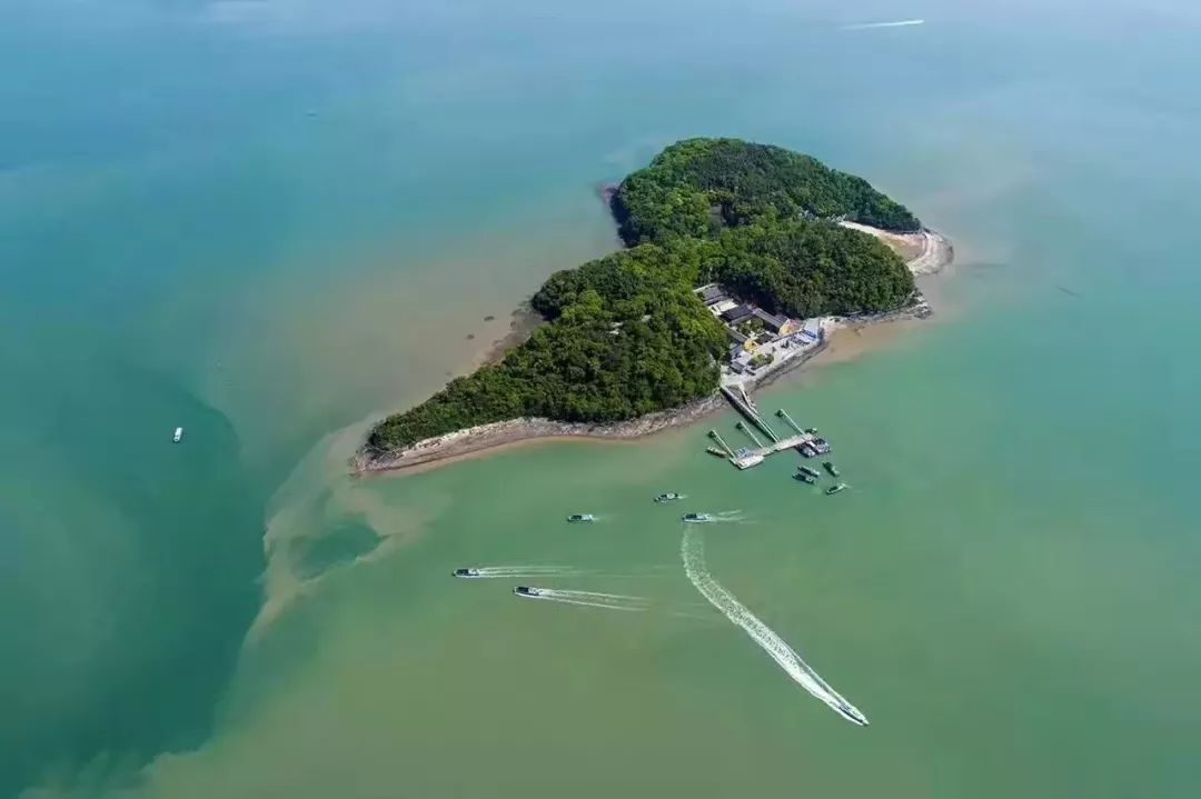 【肥美海鮮季】5.3日寧海橫山島,出海捕魚吃海鮮腐敗一日遊