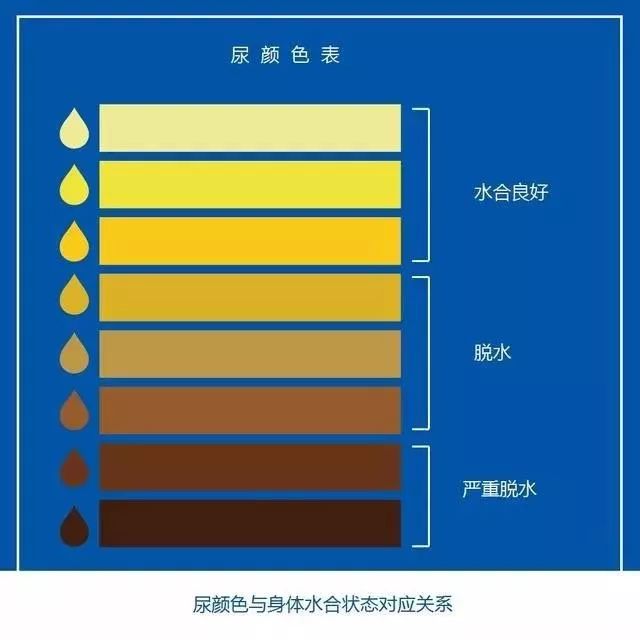 如何确定身体是否缺水及缺水的程度