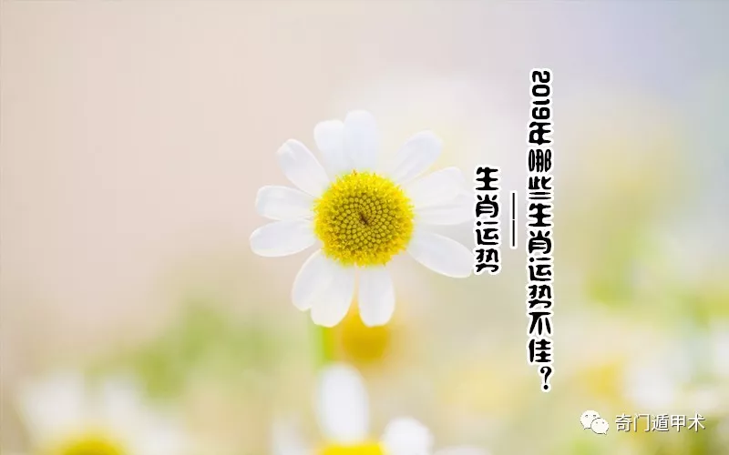 属蛇的各位在2019年流年冲太岁,巳蛇为巳火,亥猪为亥水,阴火克阴水