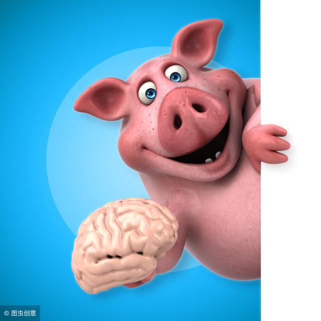 人头猪脑漫画图片图片