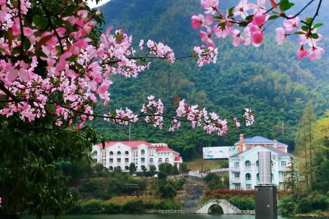 村教育实践基地谜-零碳度假村仙龙峡漂流林清轩农场旅游环线第五村