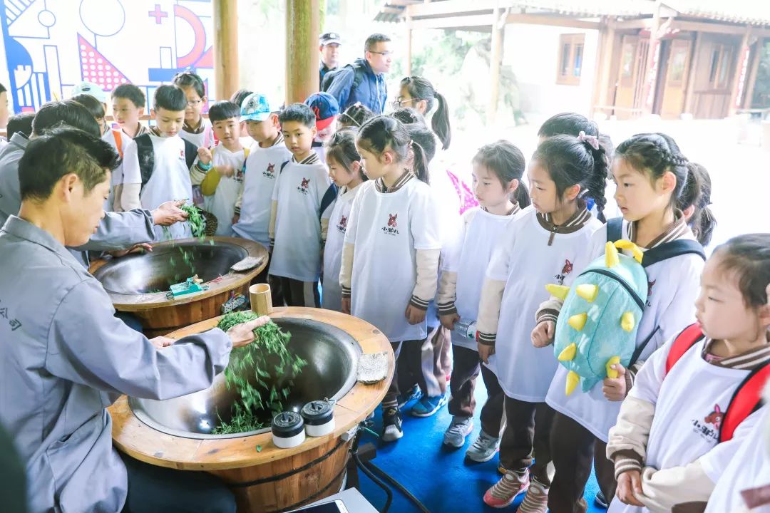 最是一年春好處龍井古道覓茶香102班飛鴿中隊博物館研學之旅