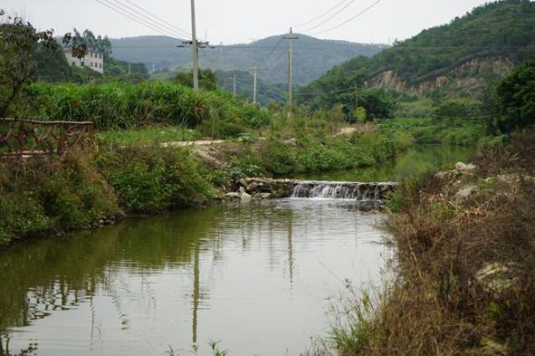 魏宏武:治水