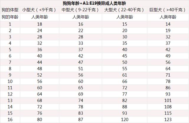 視界-狗狗1歲=人7歲,是上世紀的算法,附最新狗狗和年齡對照表_體型