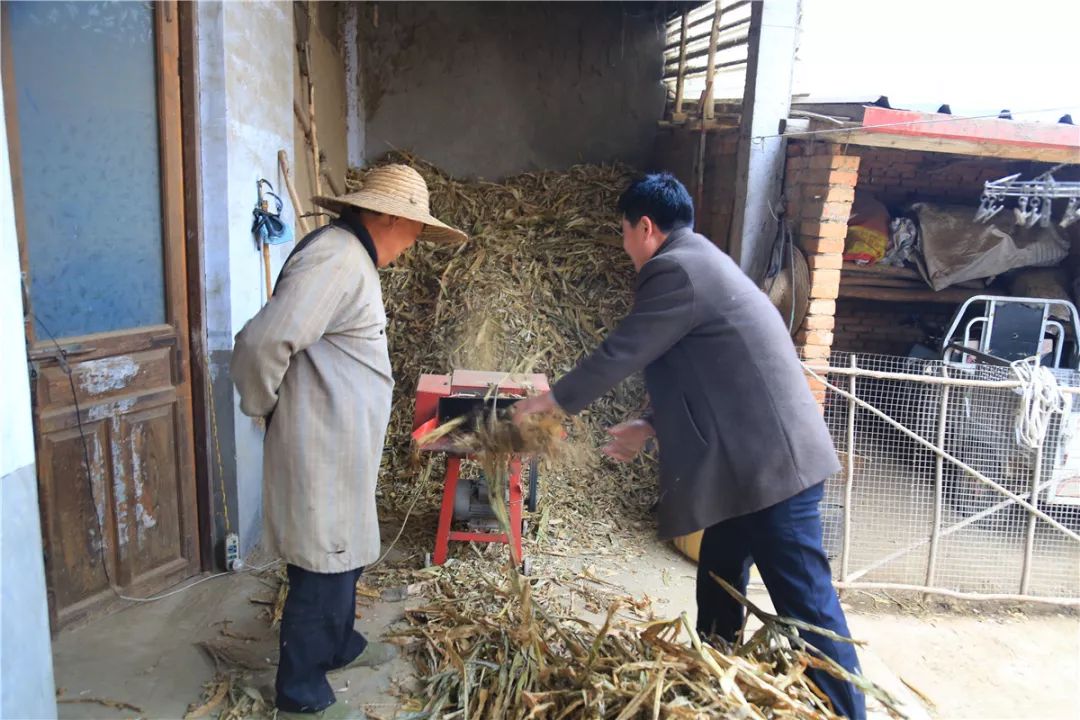 成了唐致松家的常客,有空就去給孩子送吃的玩的,幫唐致松乾乾農活,在