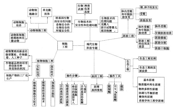 高中生物全套思維導圖共20張