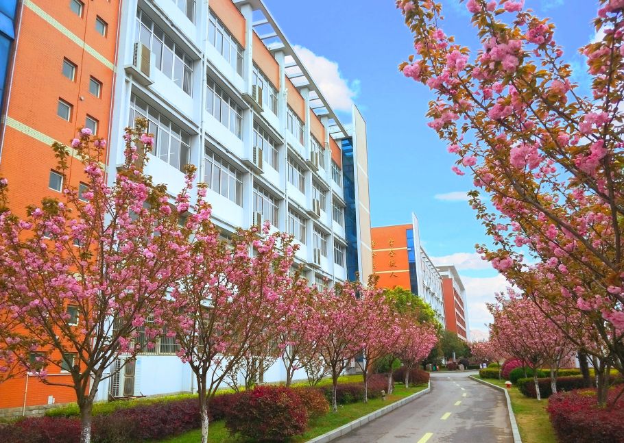 扬州市职业大学风景图片