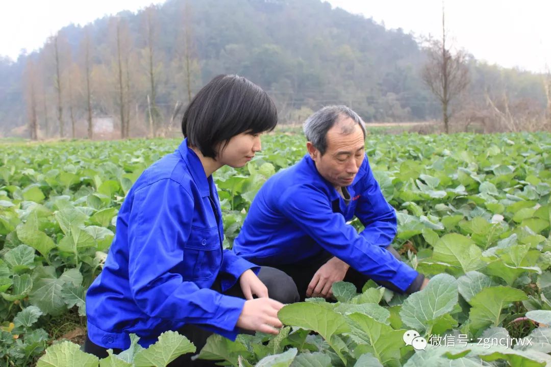 服務實體經濟女大學生返鄉創業當農民