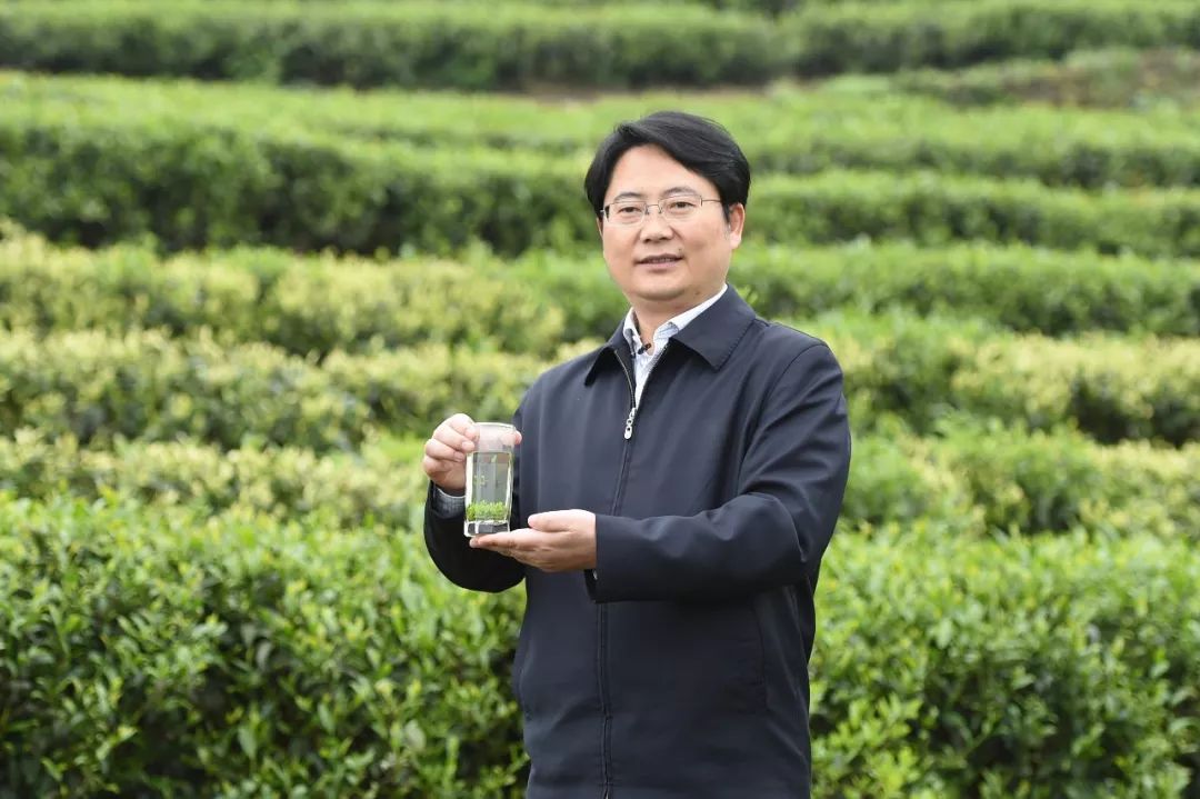 【关注】余庆县委书记出镜代言,向全球推介余庆茶·干净茶