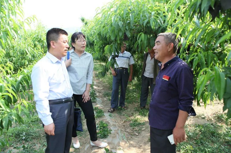 厉害了,山东农大培养出了这么多"带头大哥!_培训