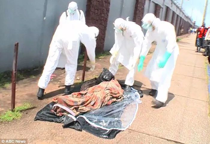 埃博拉吐肠子图片