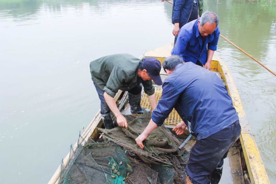 資訊清理河道地籠網打擊非法電捕魚為魚兒讓出生命通道