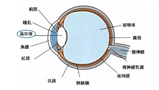 滴眼药水管用吗?