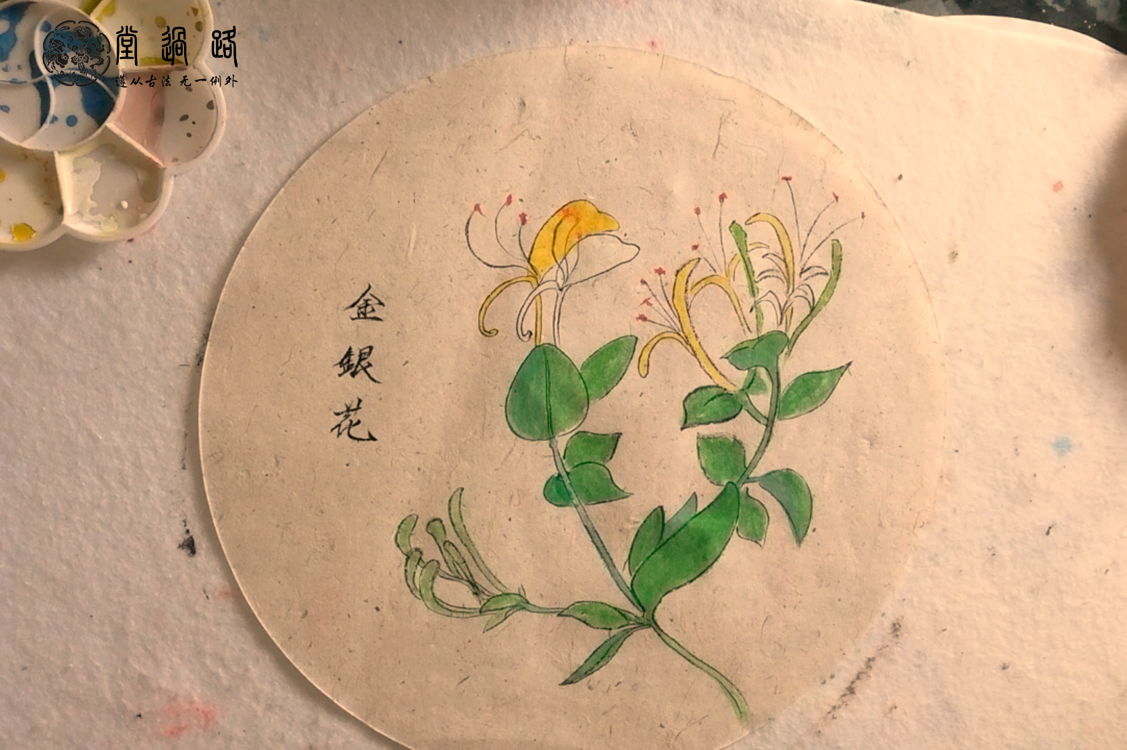 金银花绘画作品图片