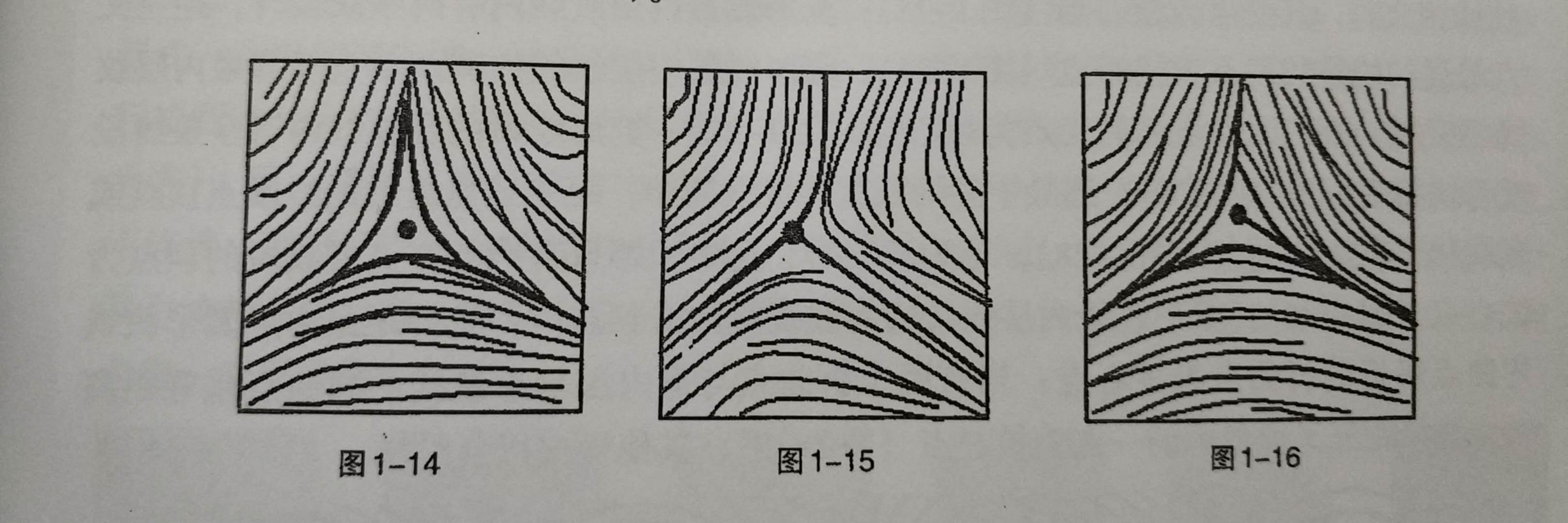 下面总结一下各纹型的分类及特点:斗型纹又被细分为:靶心斗,螺旋斗