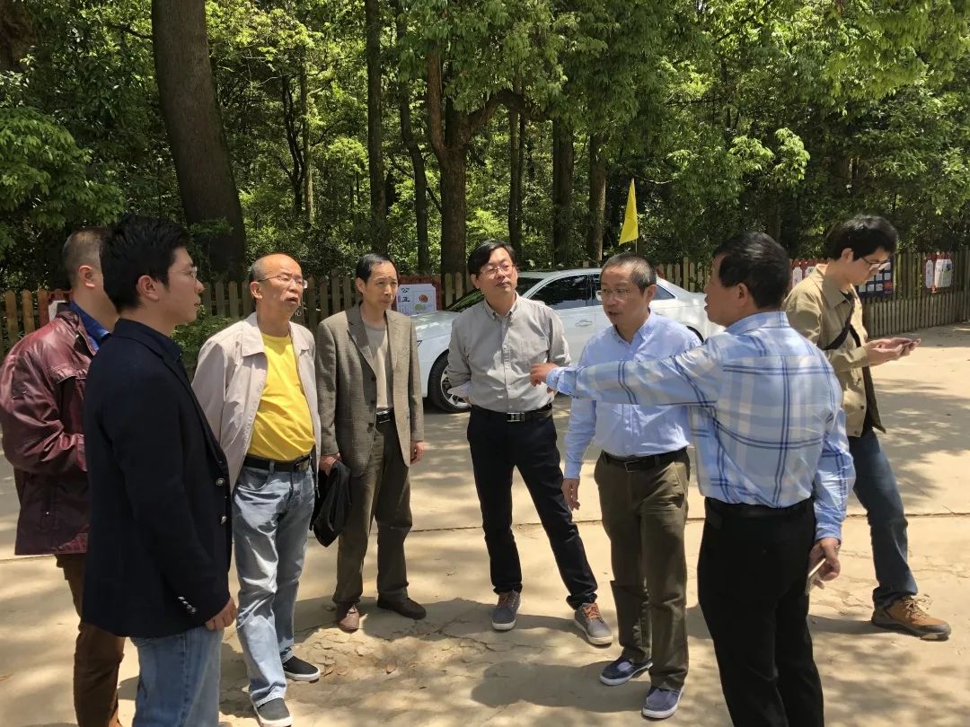 南平市商务局副局长陈继勇一行到水南村调研水南"圆梦村"建设及农产品