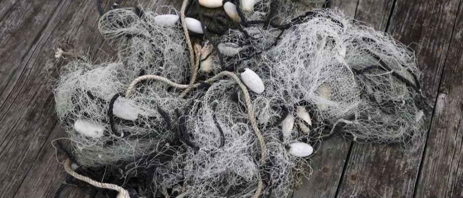 废弃渔网变球网国际排联推动保护海洋动物