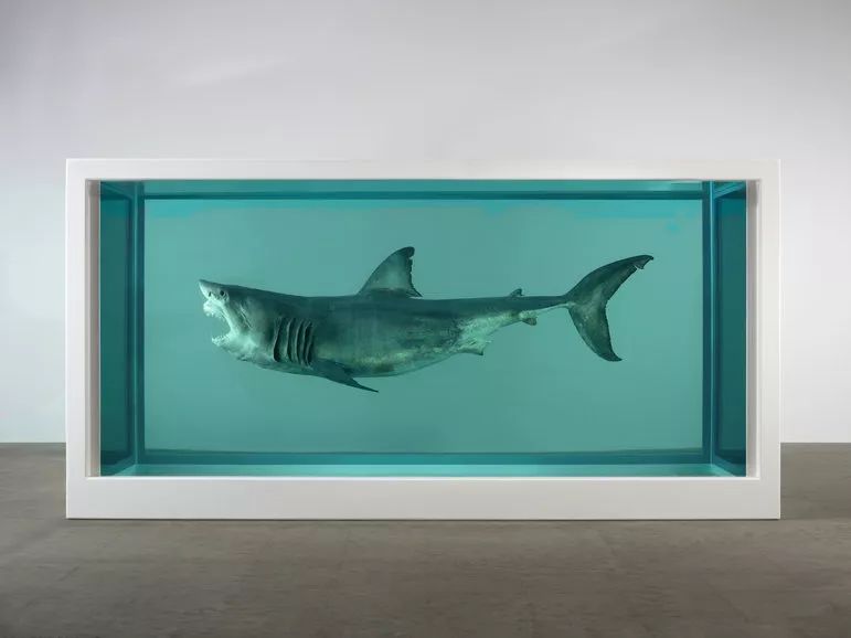 鬼才艺术家damienhirst用动物尸体做展览令人震惊