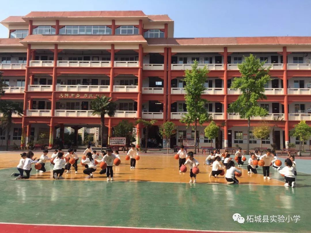 柘城县第一实验小学图片