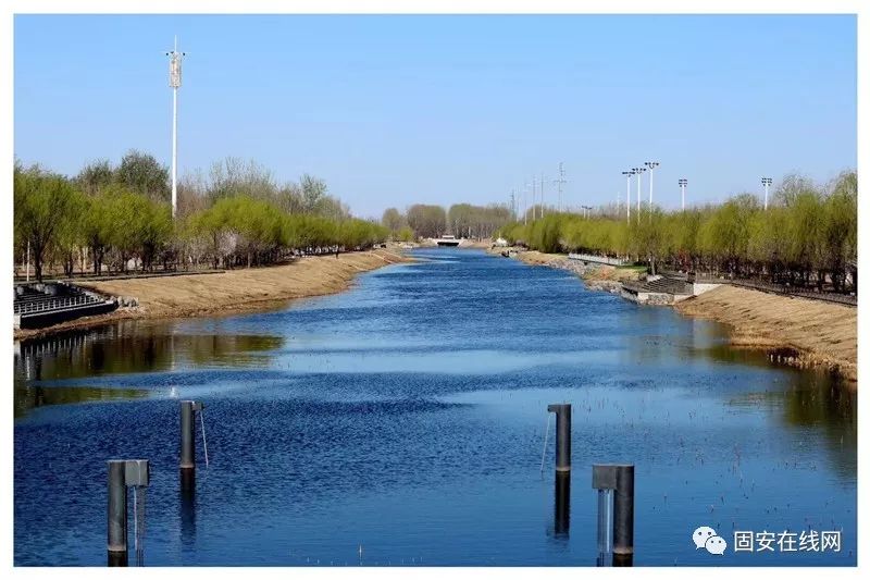 美好,浪漫的生活,從賞花開始朋友們,帶上好心情,來固安濱河公園賞花吧