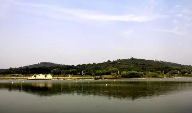 南京小眾旅遊石臼湖大橋六合練山草原燕幕濱江羊山公園