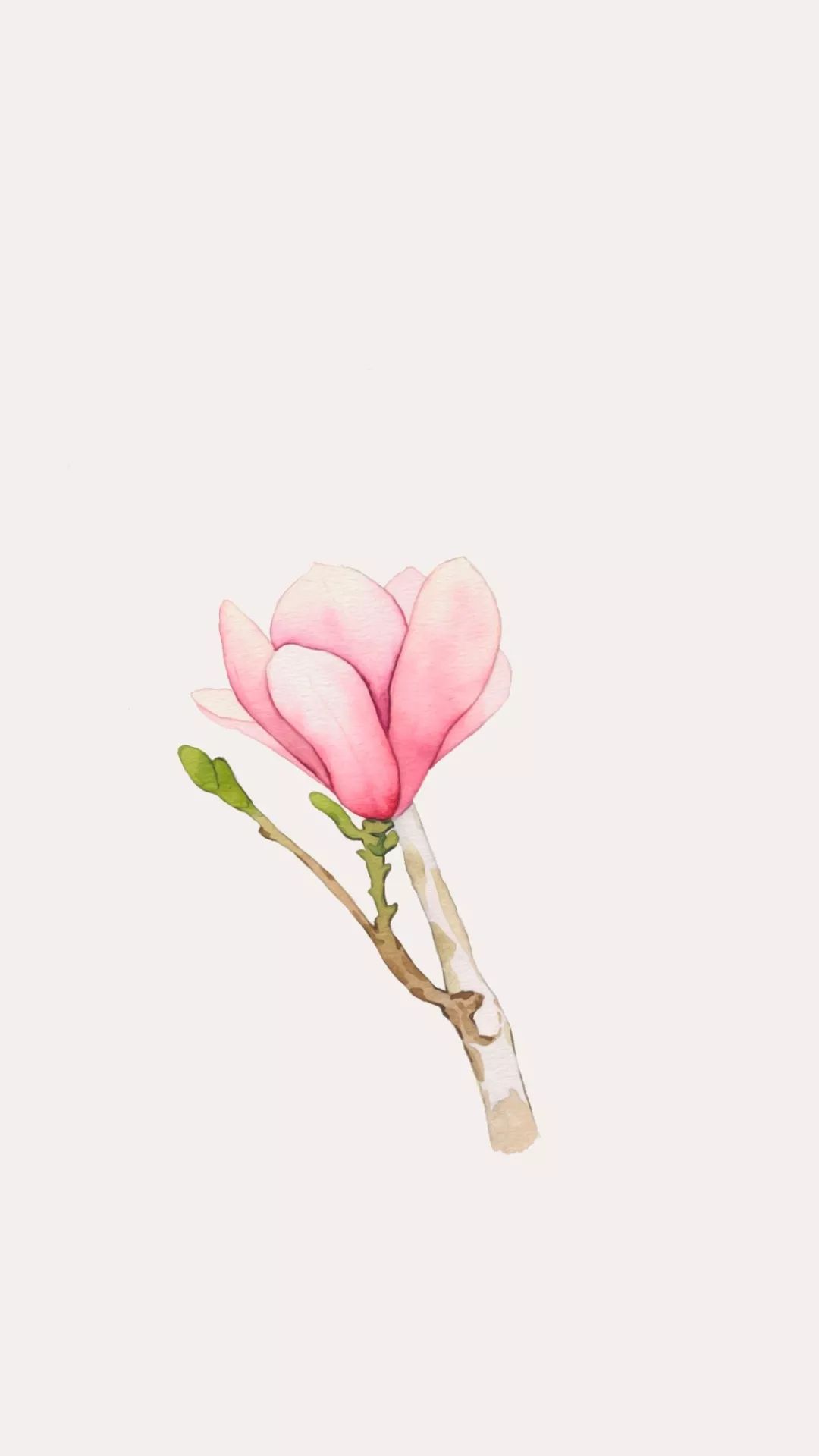 壁纸iphonexsmax壁纸