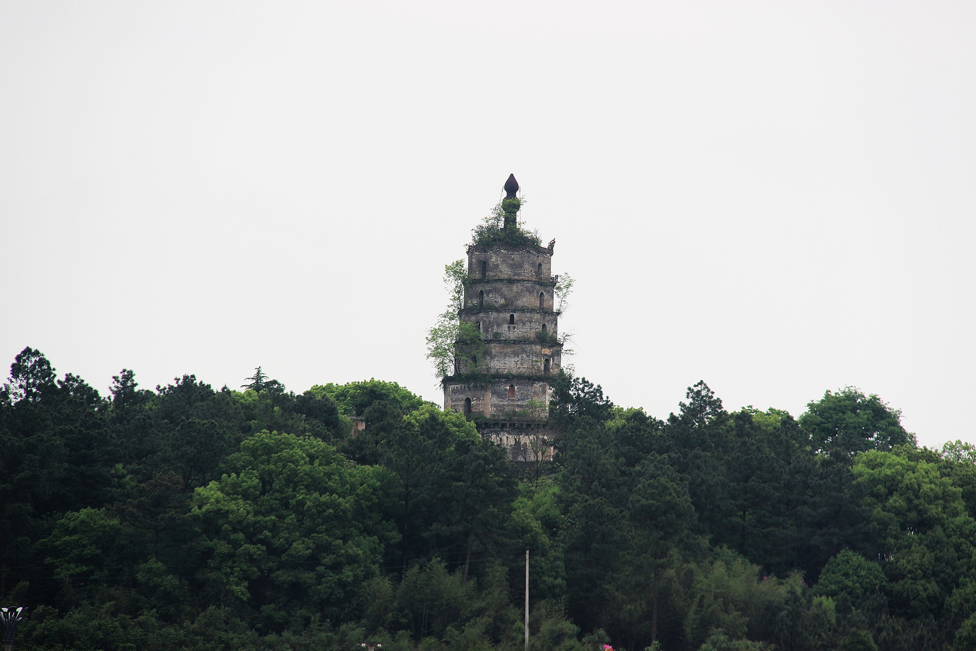 衡阳市一日游必去景点图片