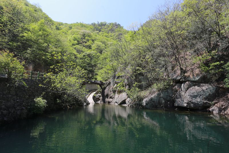 百名中原網絡大咖採風團走進老君洞銀樹溝伏牛地下河