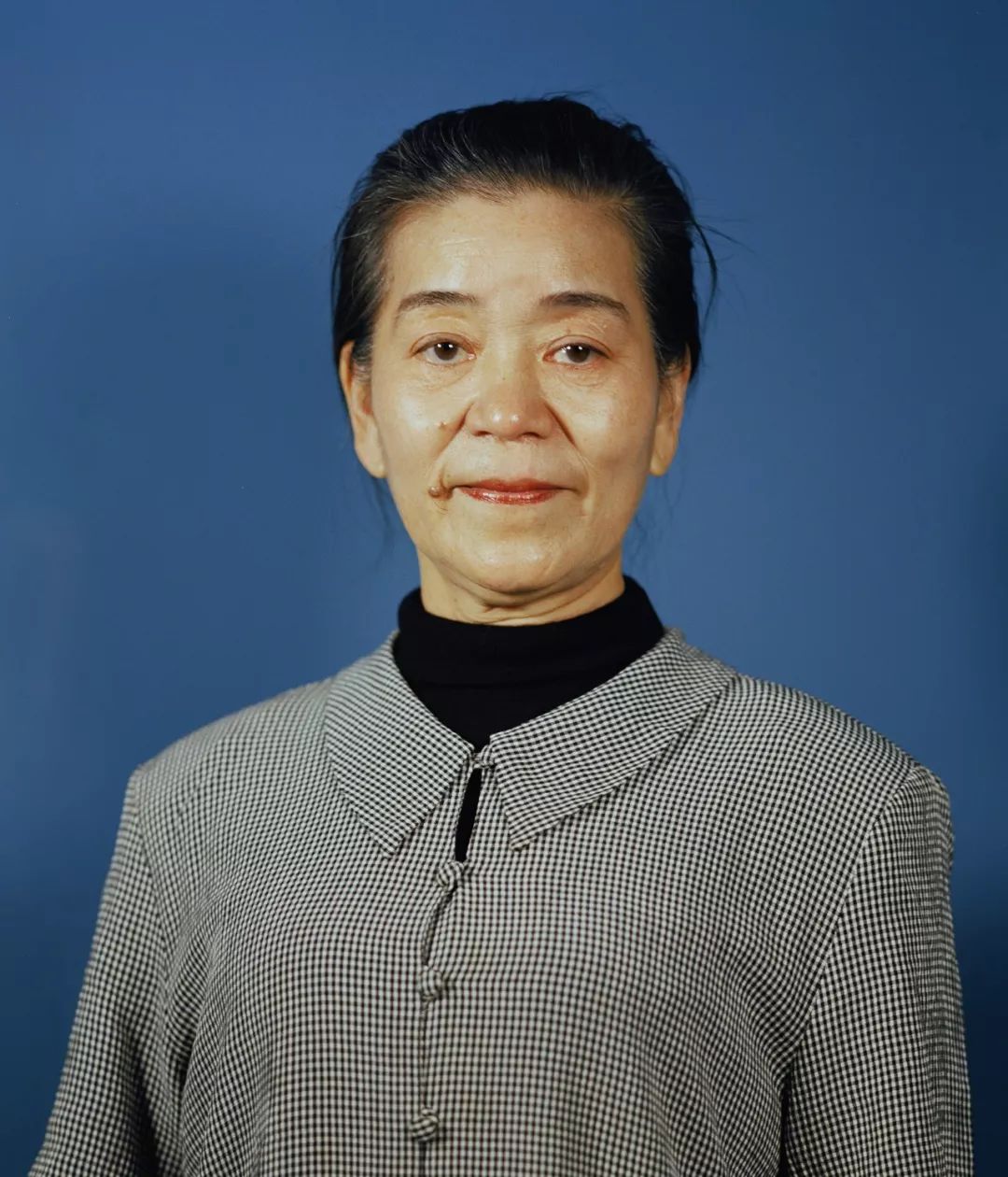 假展览梅心怡2015年的大象