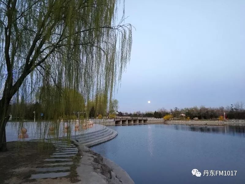 丹東天氣穀雨有場應景的小雨錦江山三幼網紅櫻花盛開