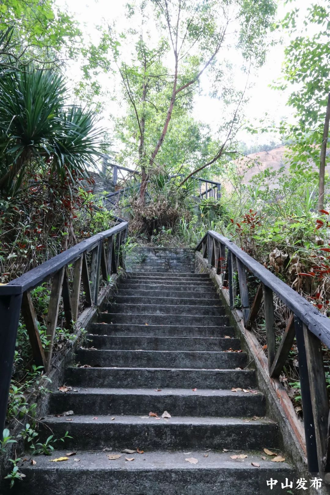 北台山森林公园拥有大面积山地景观,湖水景观以及丰富的动植物资源