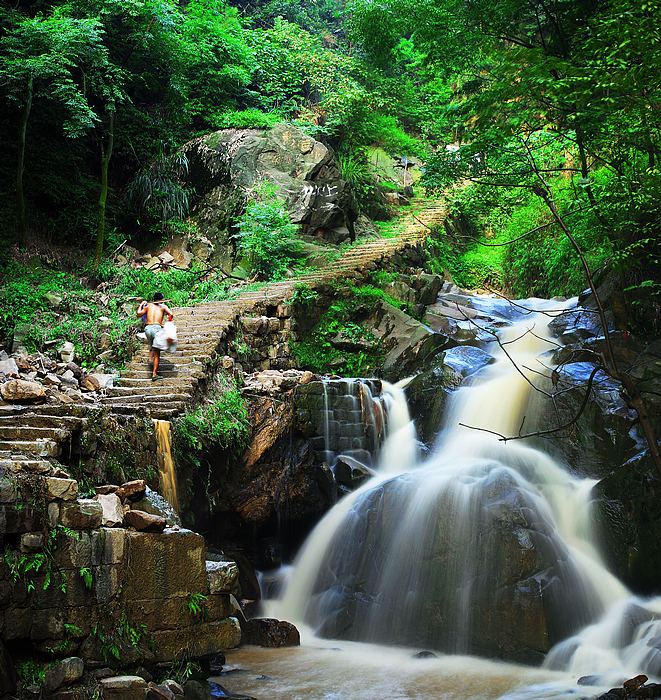 重庆这些登山步道你走过几条我只登过3条