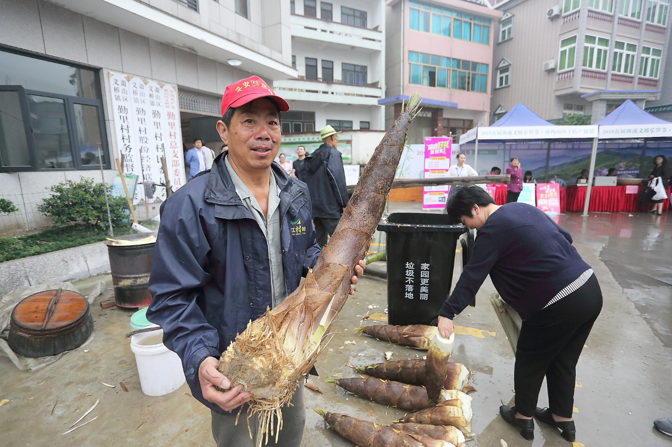 义桥竹笋图片