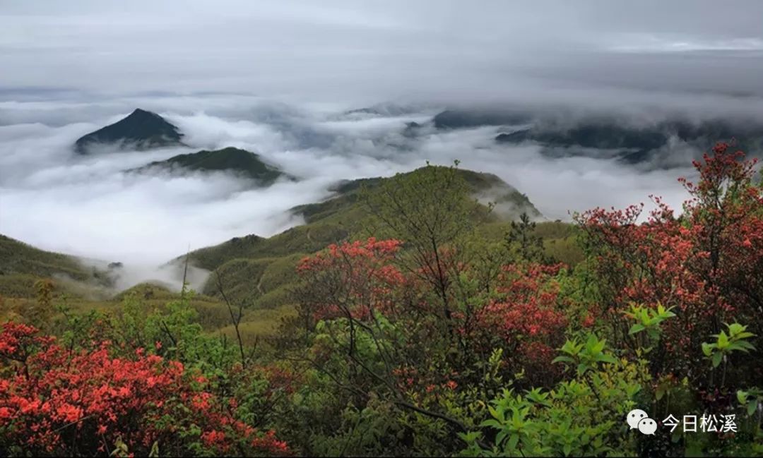 德兴龙头山图片