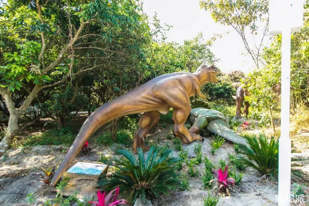 600亩大的恐龙园五一等你来打卡就在惠州那里花开