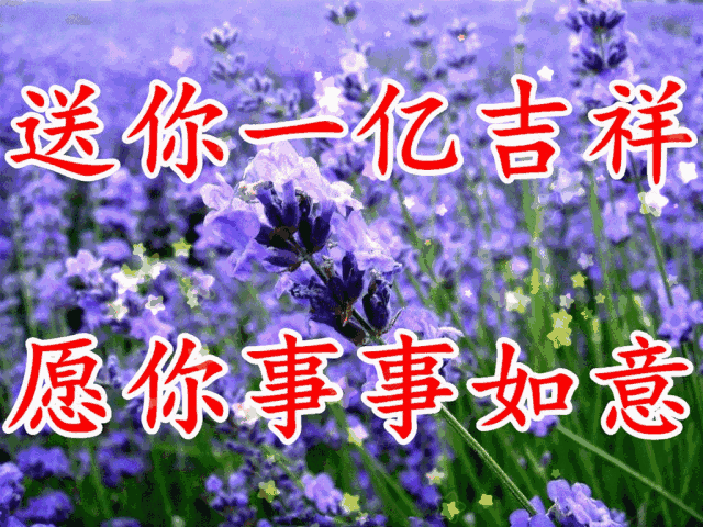 640_480gif 动态图 动图