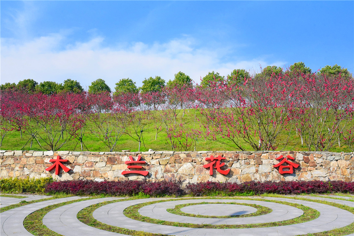 武汉黄陂有一块宝藏景区,不仅风景秀丽,还藏着个"科技王国!_花谷