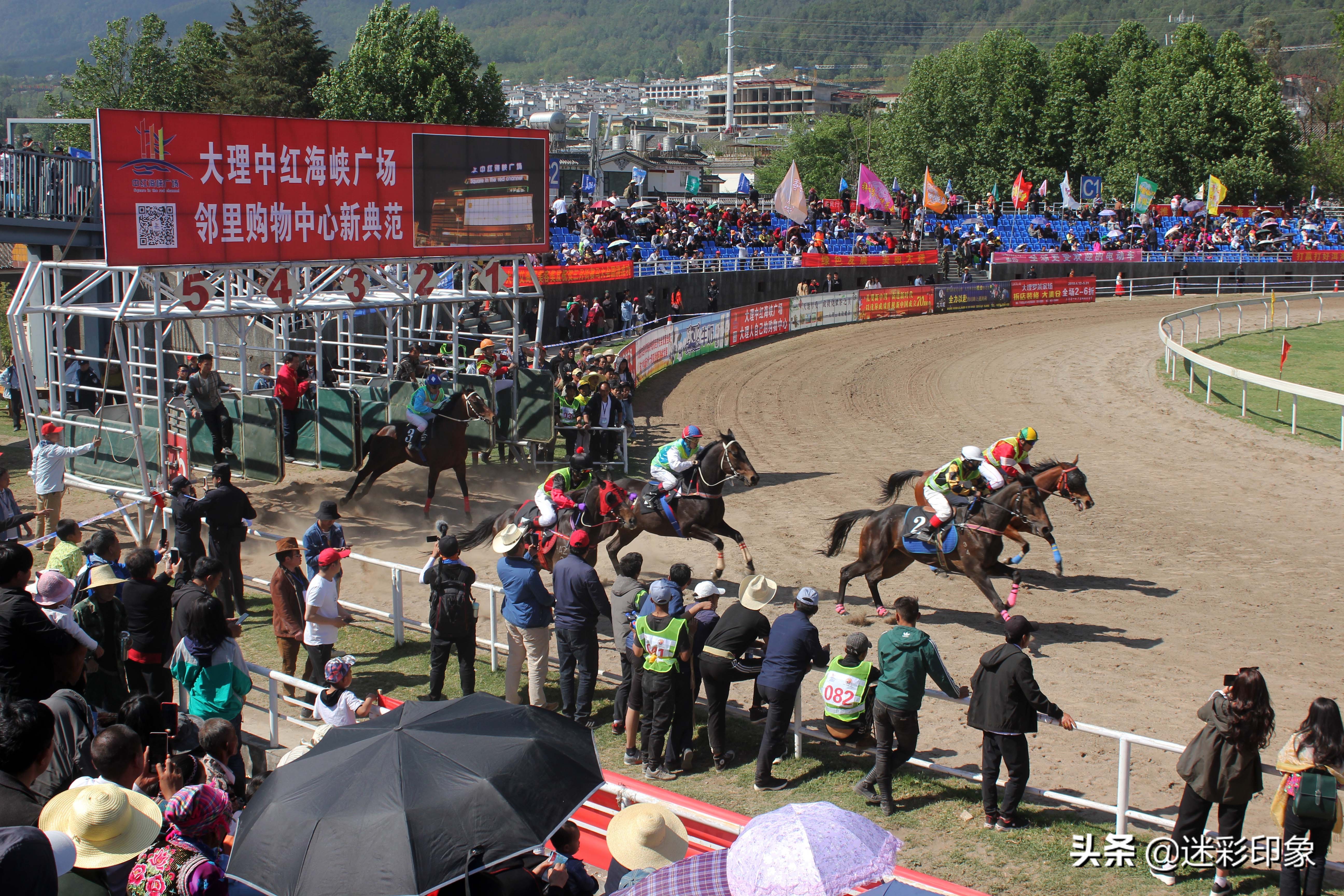 云南大理:三月街民族节赛马大会开赛