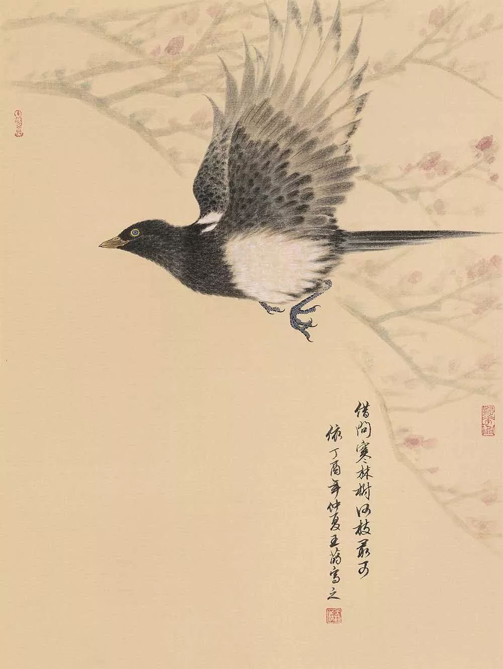 王菂花鸟画图片