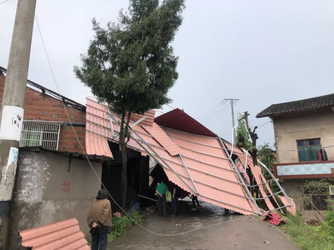 暴雨大风天气窗户、楼下出现了刮来的钱，捡了合法吗？的简单介绍-第2张图片-鲸幼网